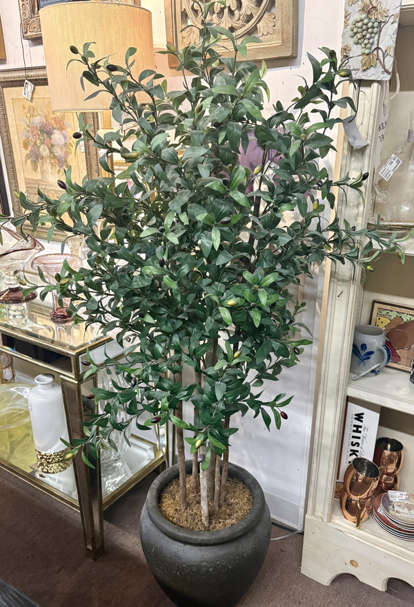 Tree