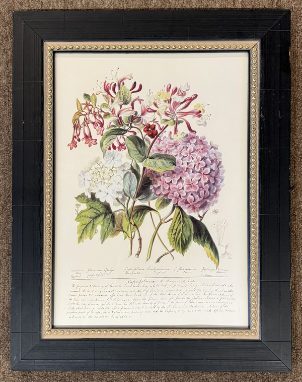Bombay Print
