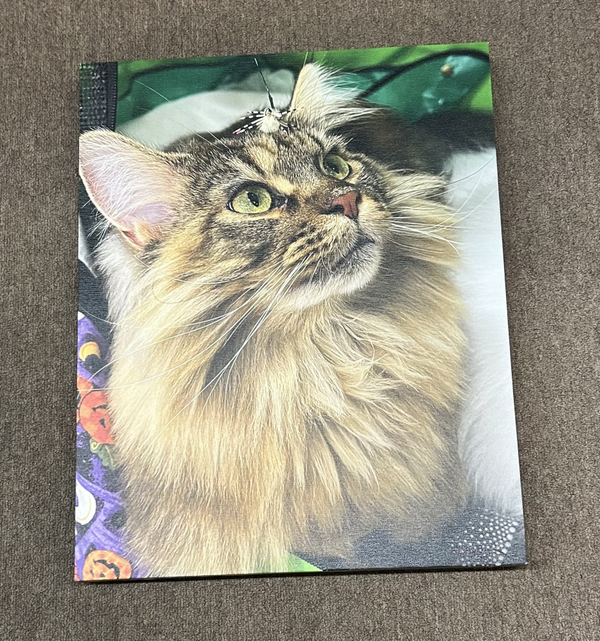 Artisan Wall Decor