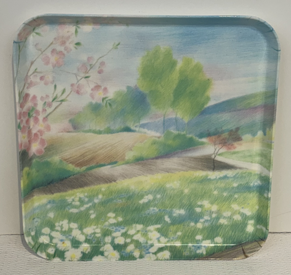Tray