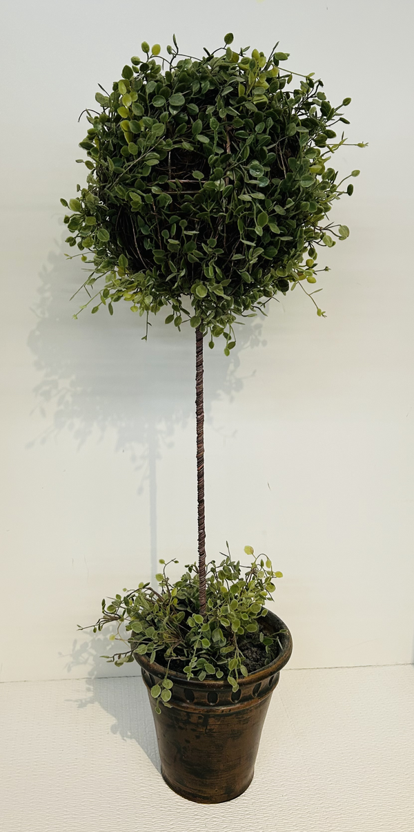 Ballard Designs Plant