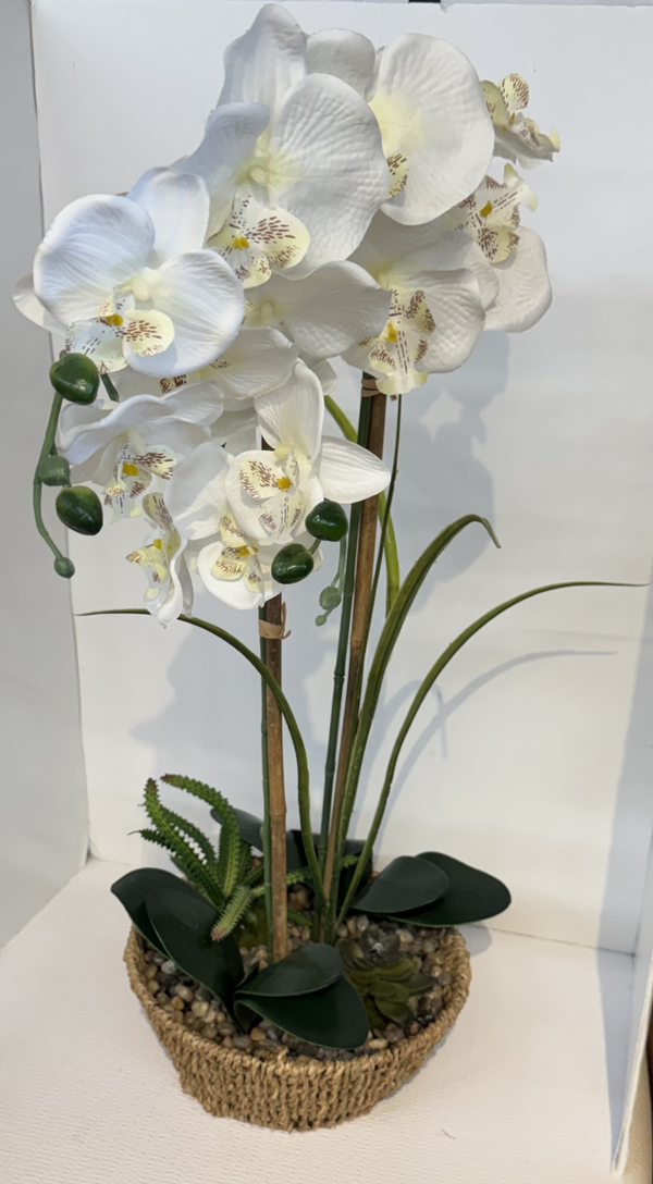 Floral