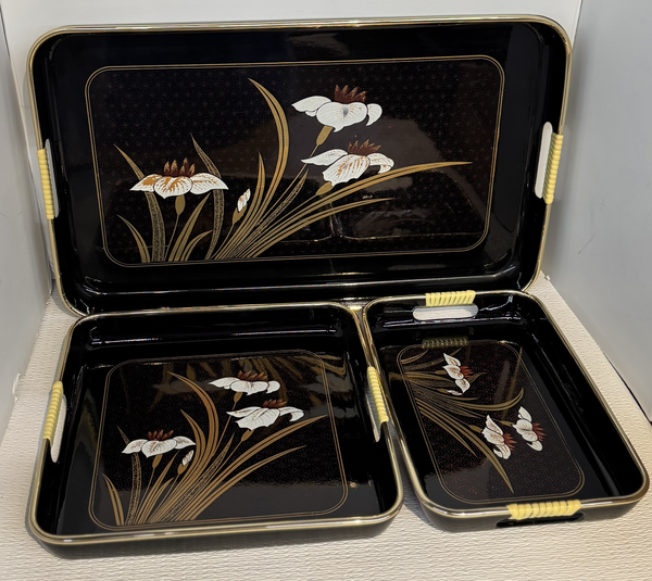 Toyo Tray