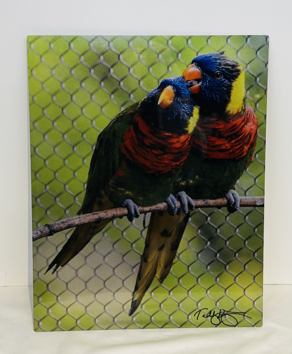 Wall Decor