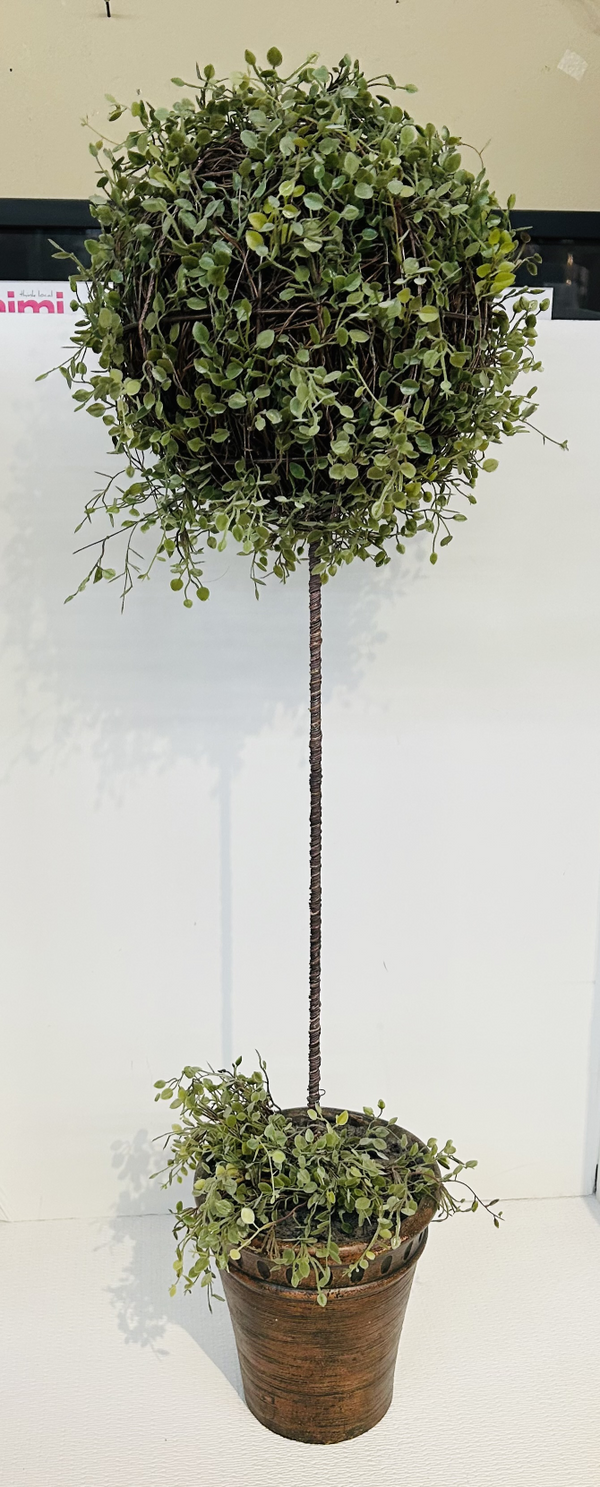 Ballard Designs Plant