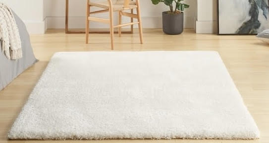Nourison Rug