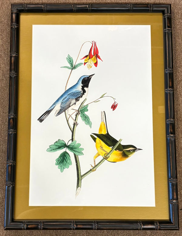 Ballard Designs Print