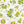 Tessitura Toscana Linens