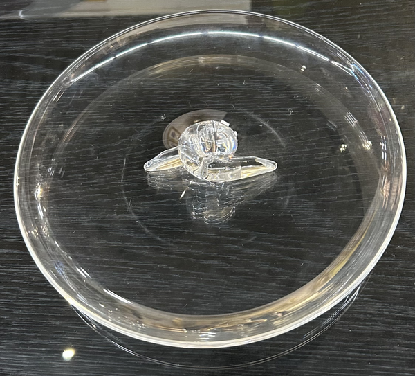 Steuben Crystal