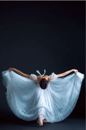 House of Hampton Wall Decor