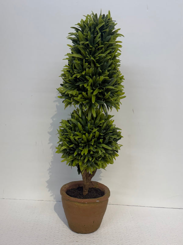Plant