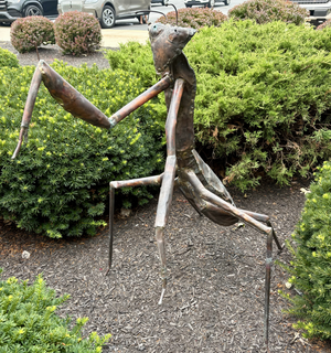 CraigZacharyas Outdoor